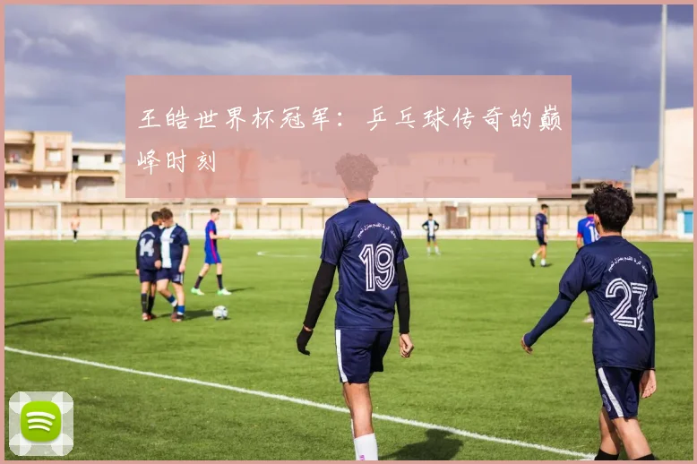 王皓世界杯冠军：乒乓球传奇的巅峰时刻