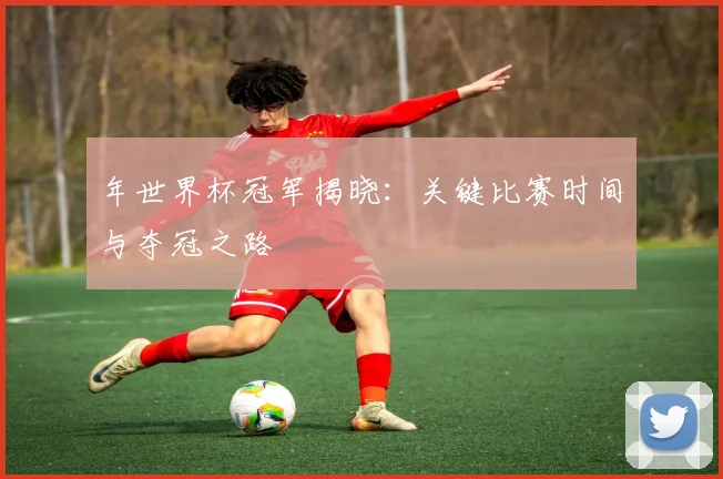 年世界杯冠军揭晓：关键比赛时间与夺冠之路